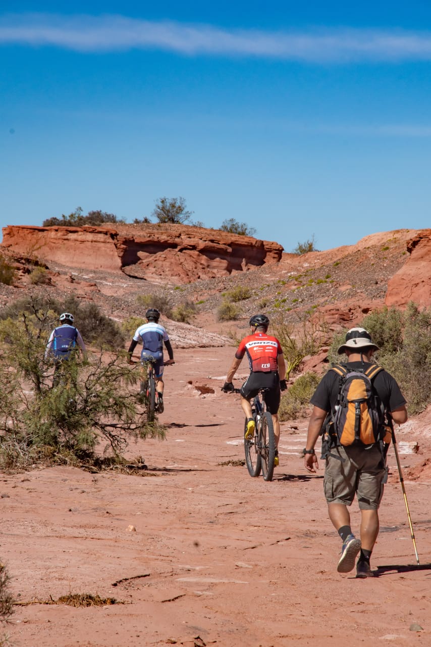 Los caminos de la vida